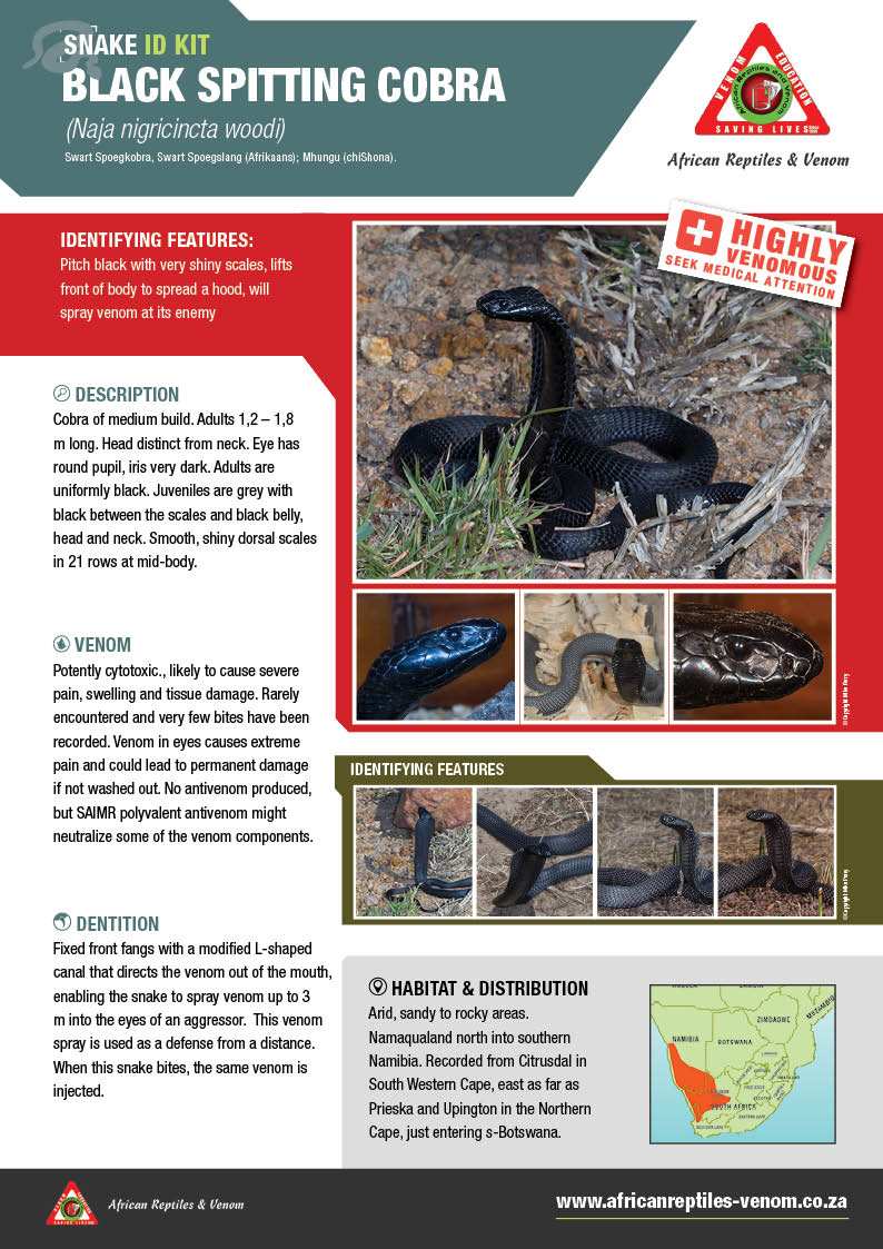 Black Spitting Cobra ARV IDKit