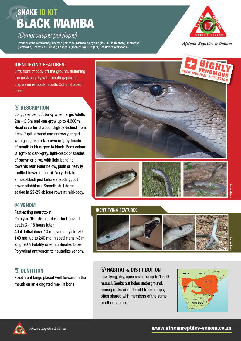 Black mamba ARV IDKit