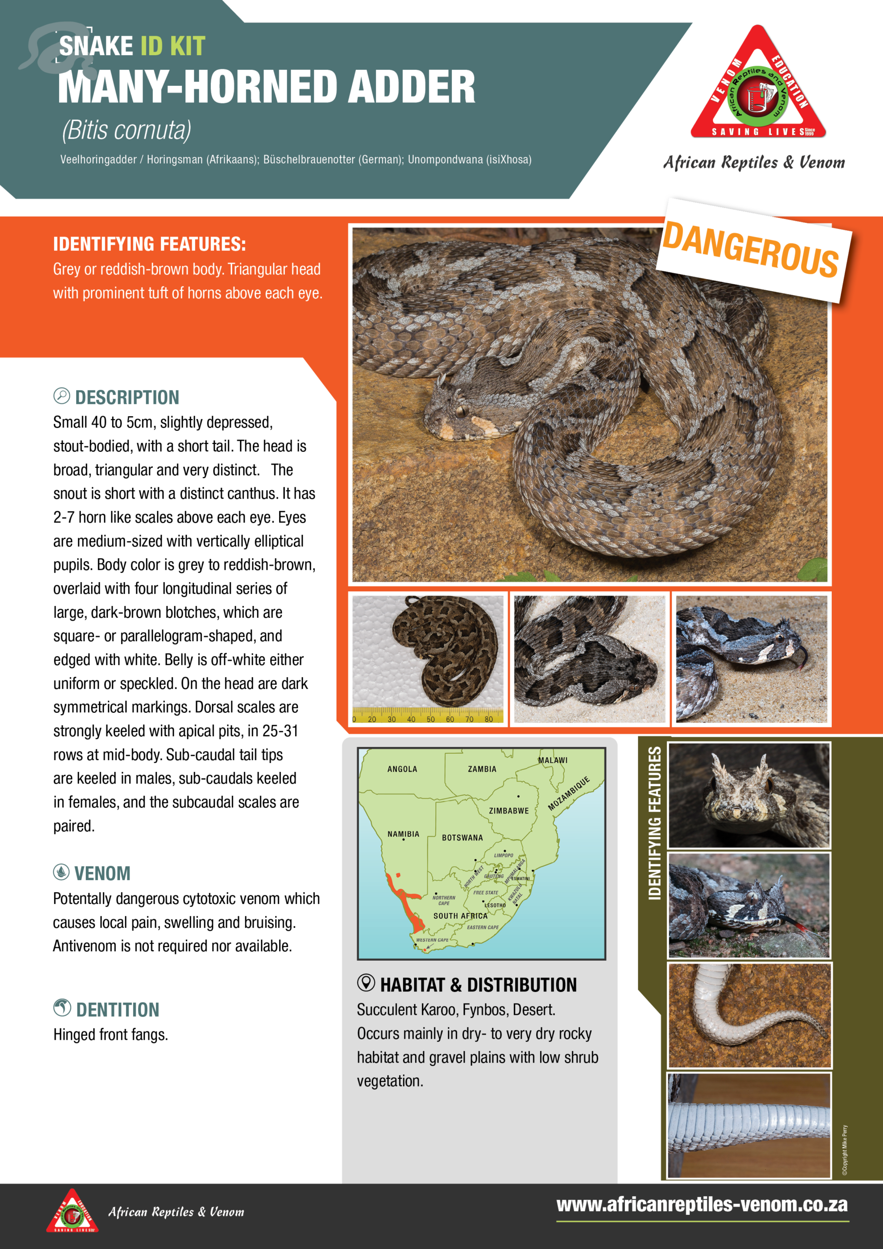 Many Horned Adder ARV IDKit