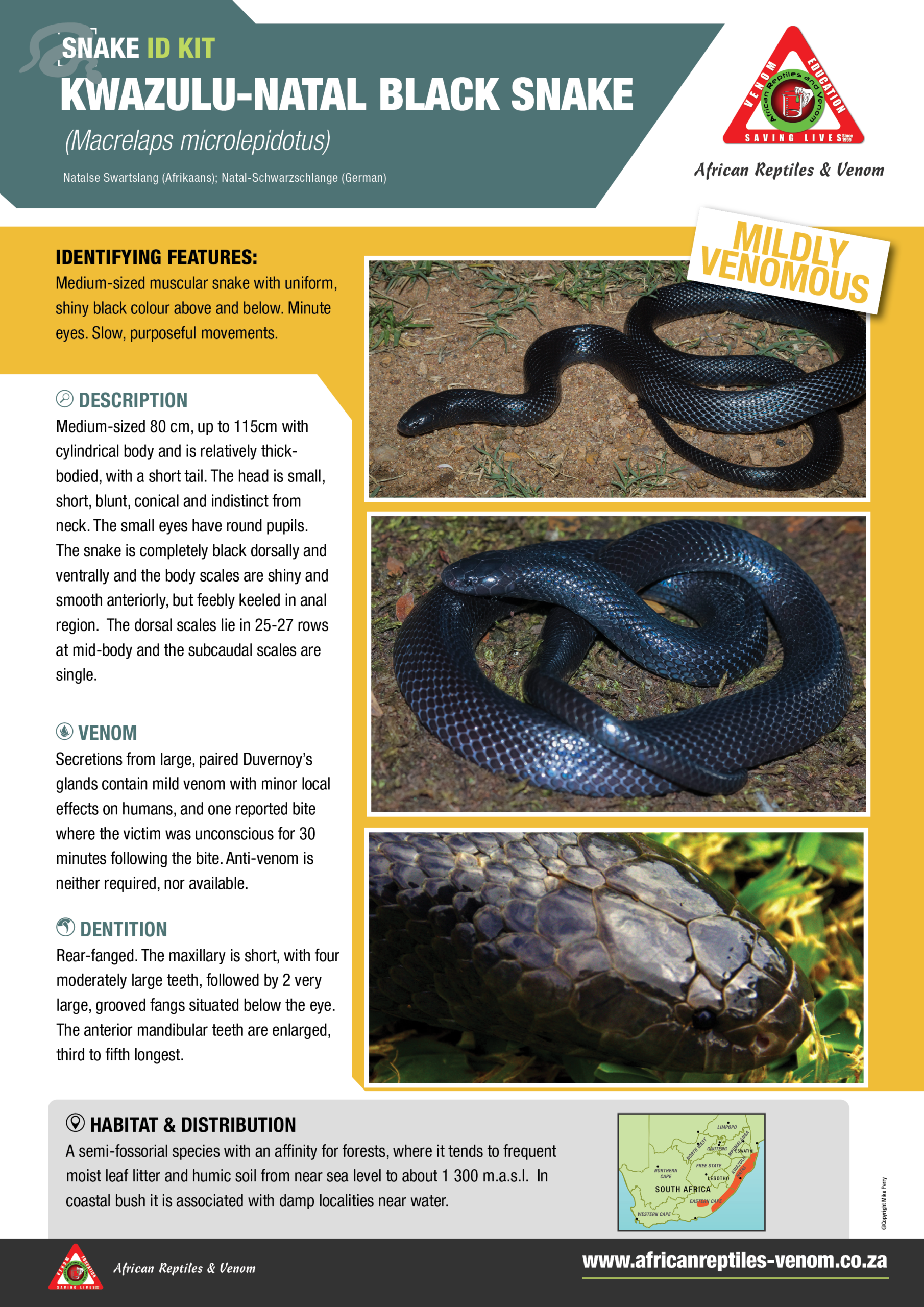 KZN Black snake ARV IDKit