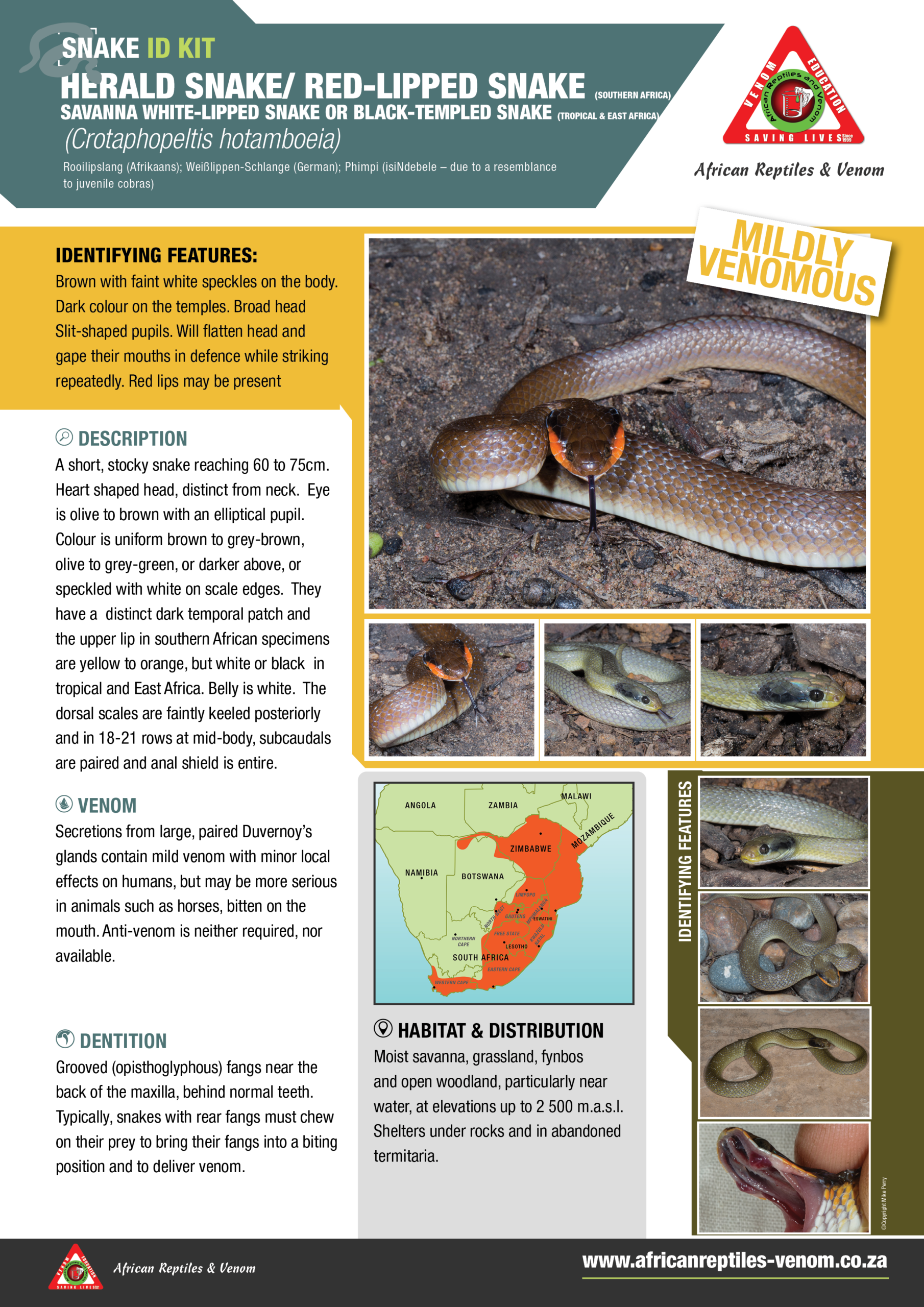 Herald Redlipped ARV IDKit