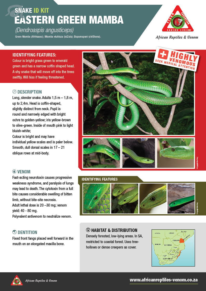 Green Mamba ARV IDKit