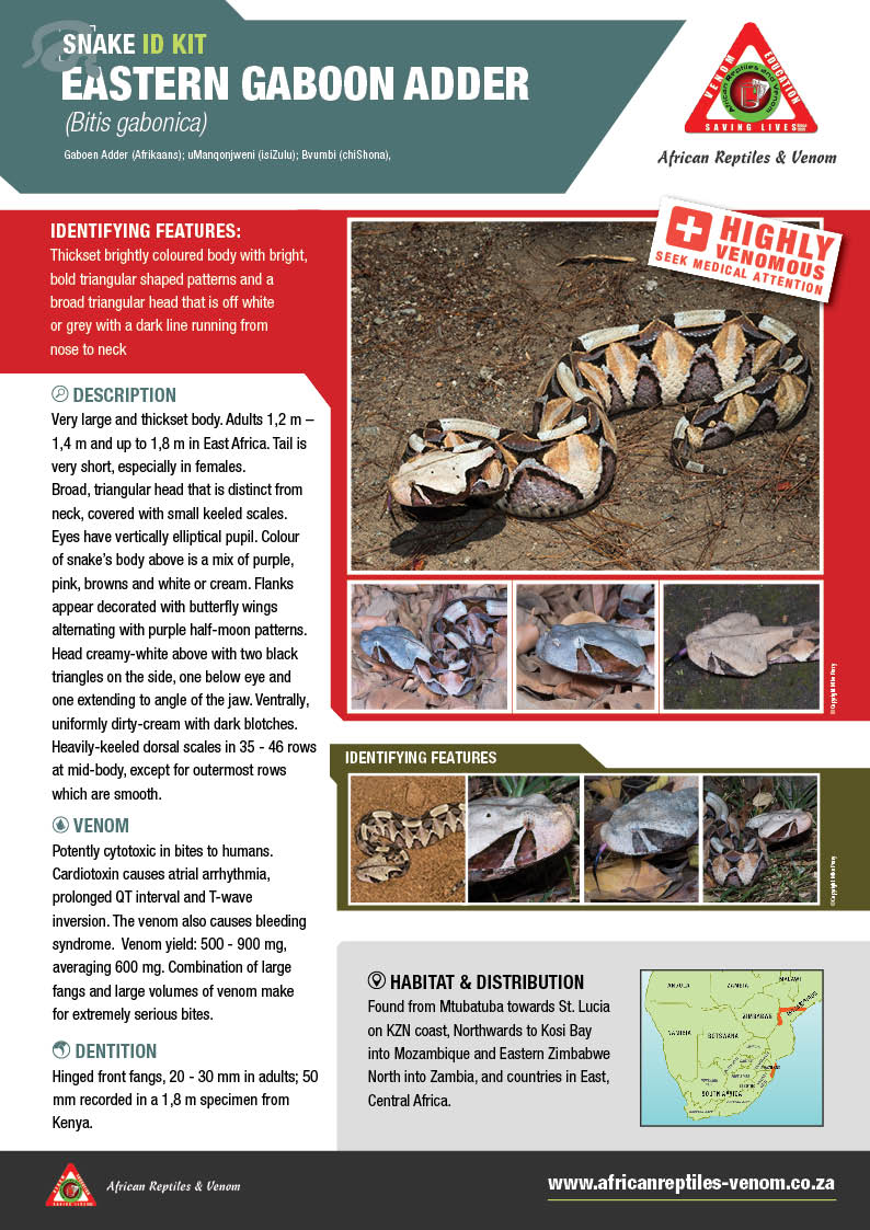 E GaboonAdder ARV IDKit