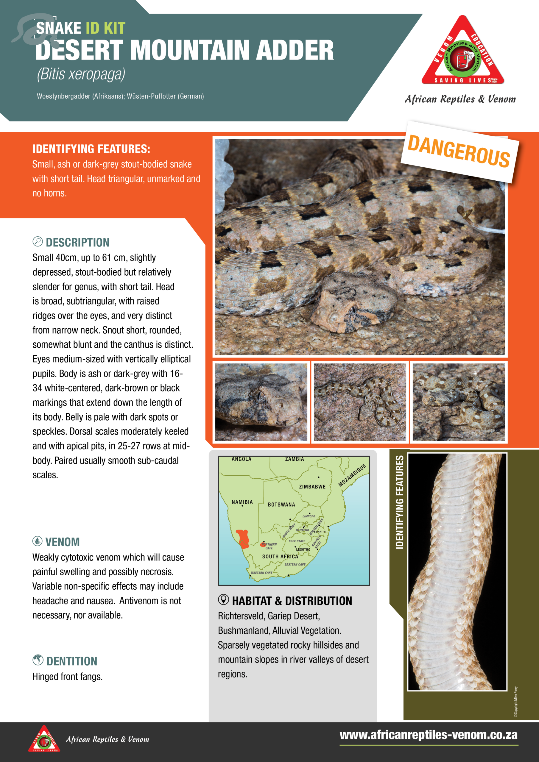 Desert Mountain Adder ARV IDKit