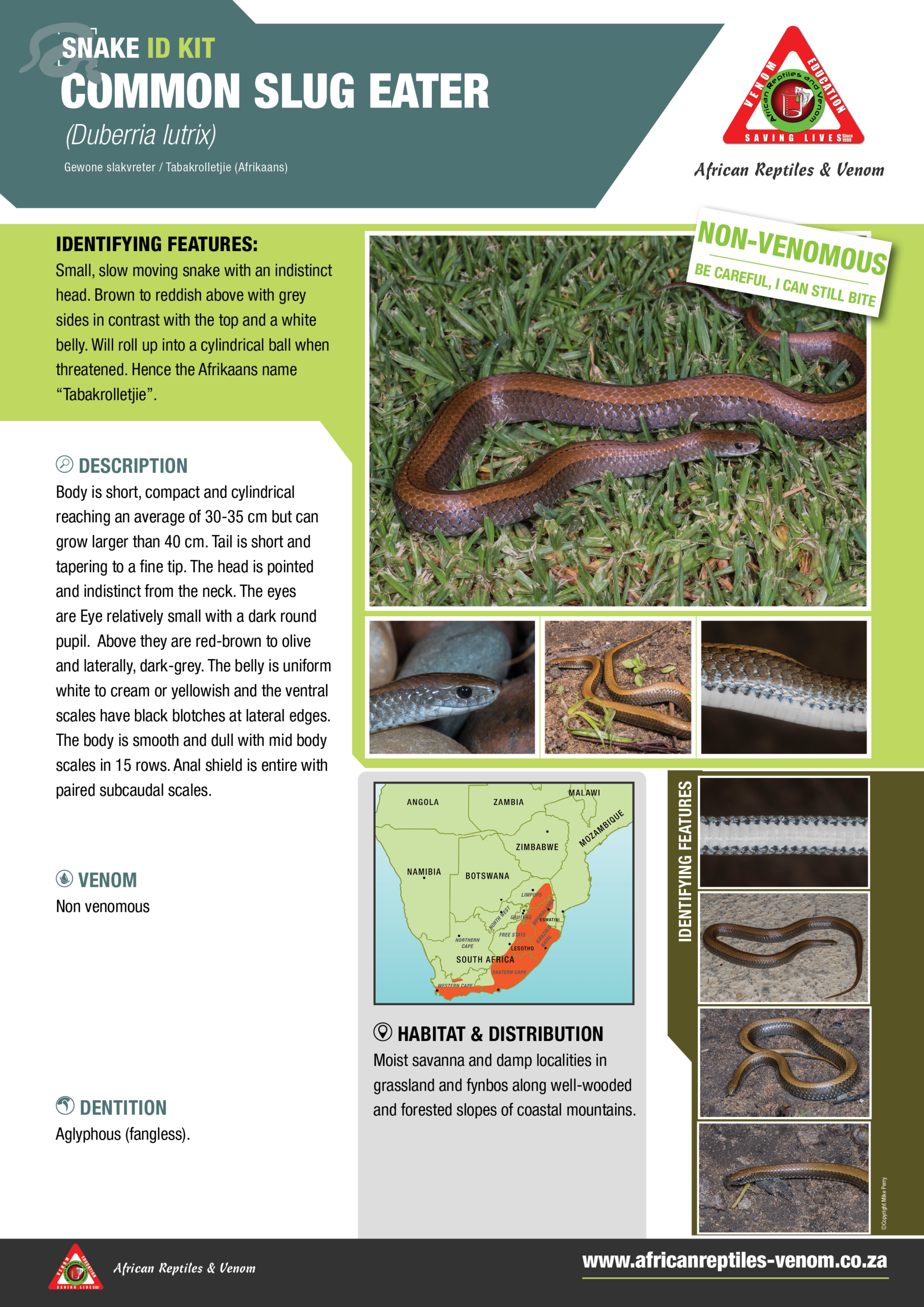 Common Slug Eater ARV IDKit