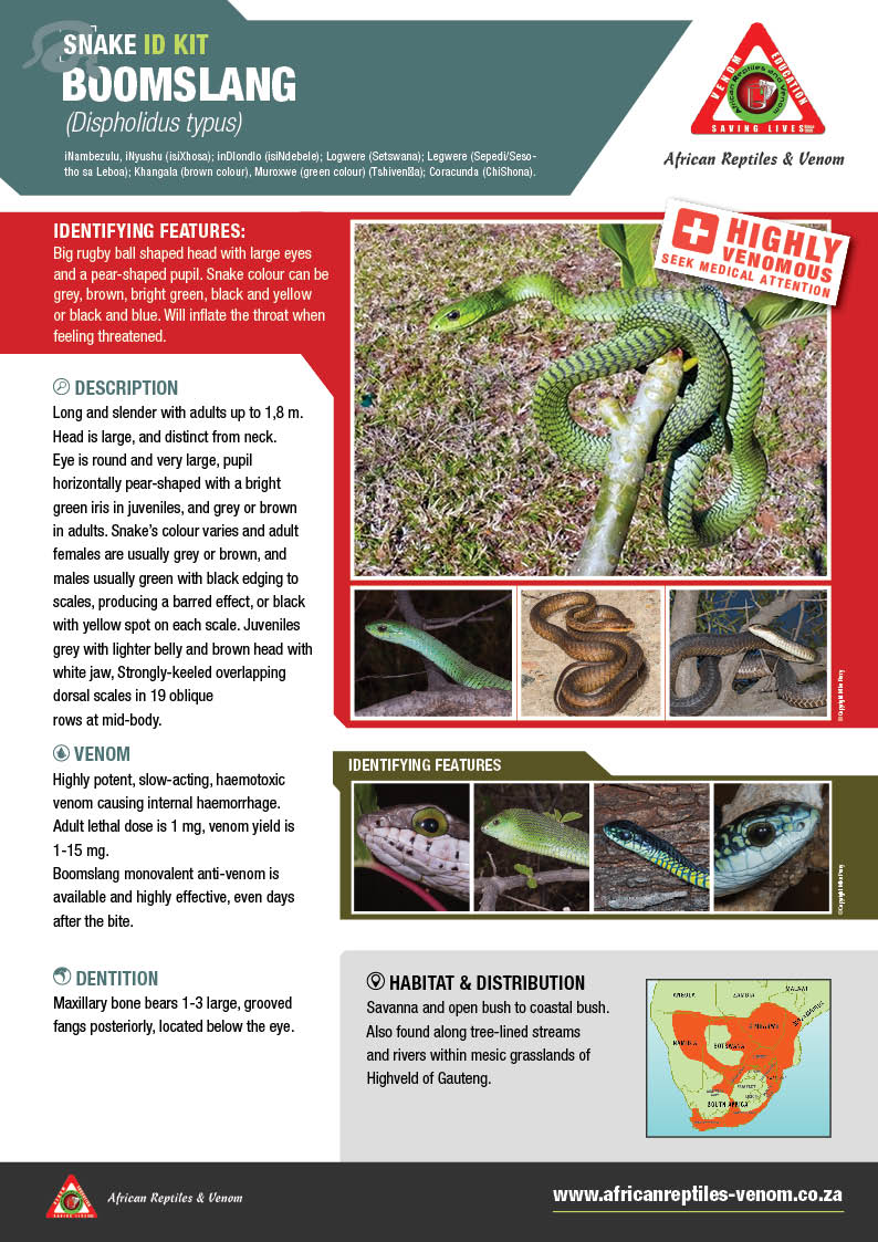 Boomslang ARV IDKit