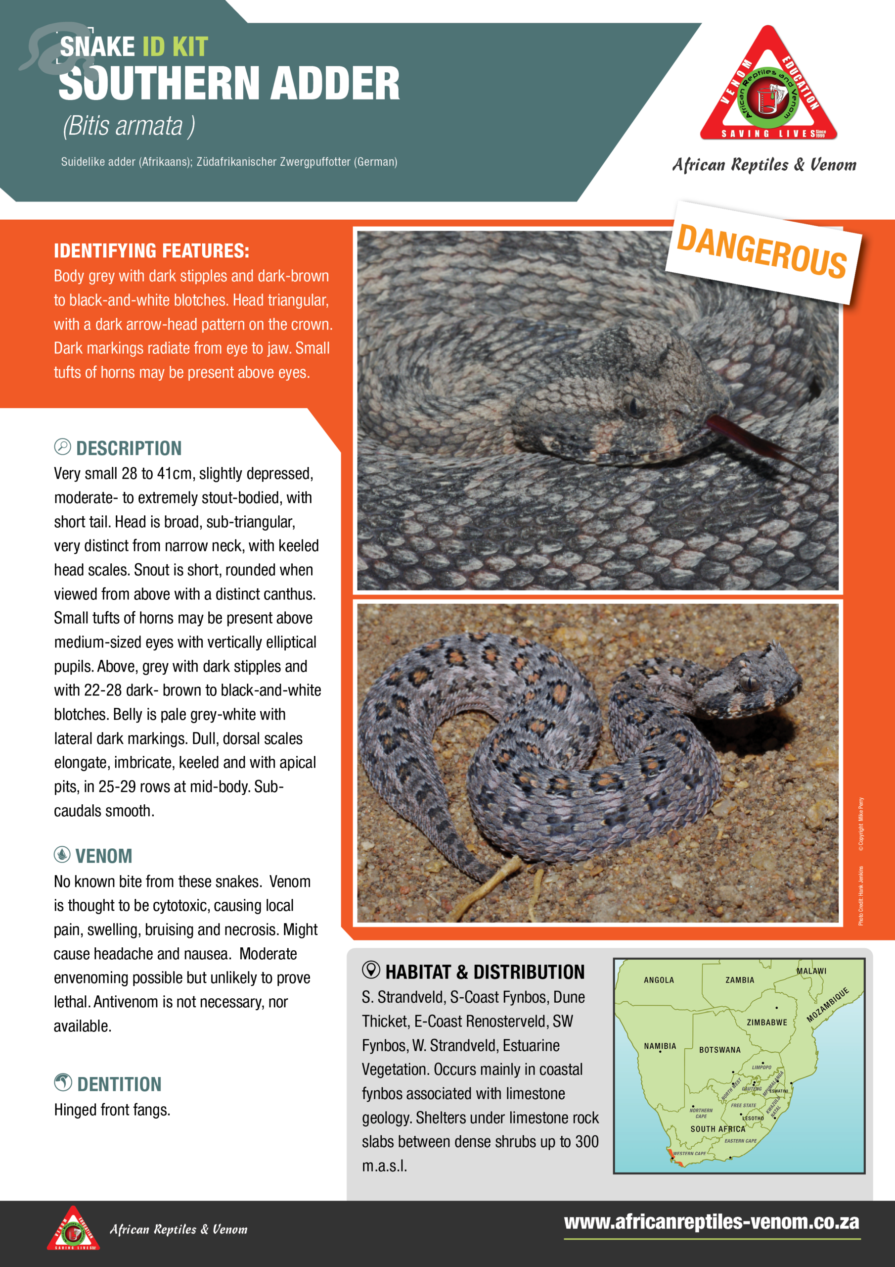 Southern Adder ARV IDKit