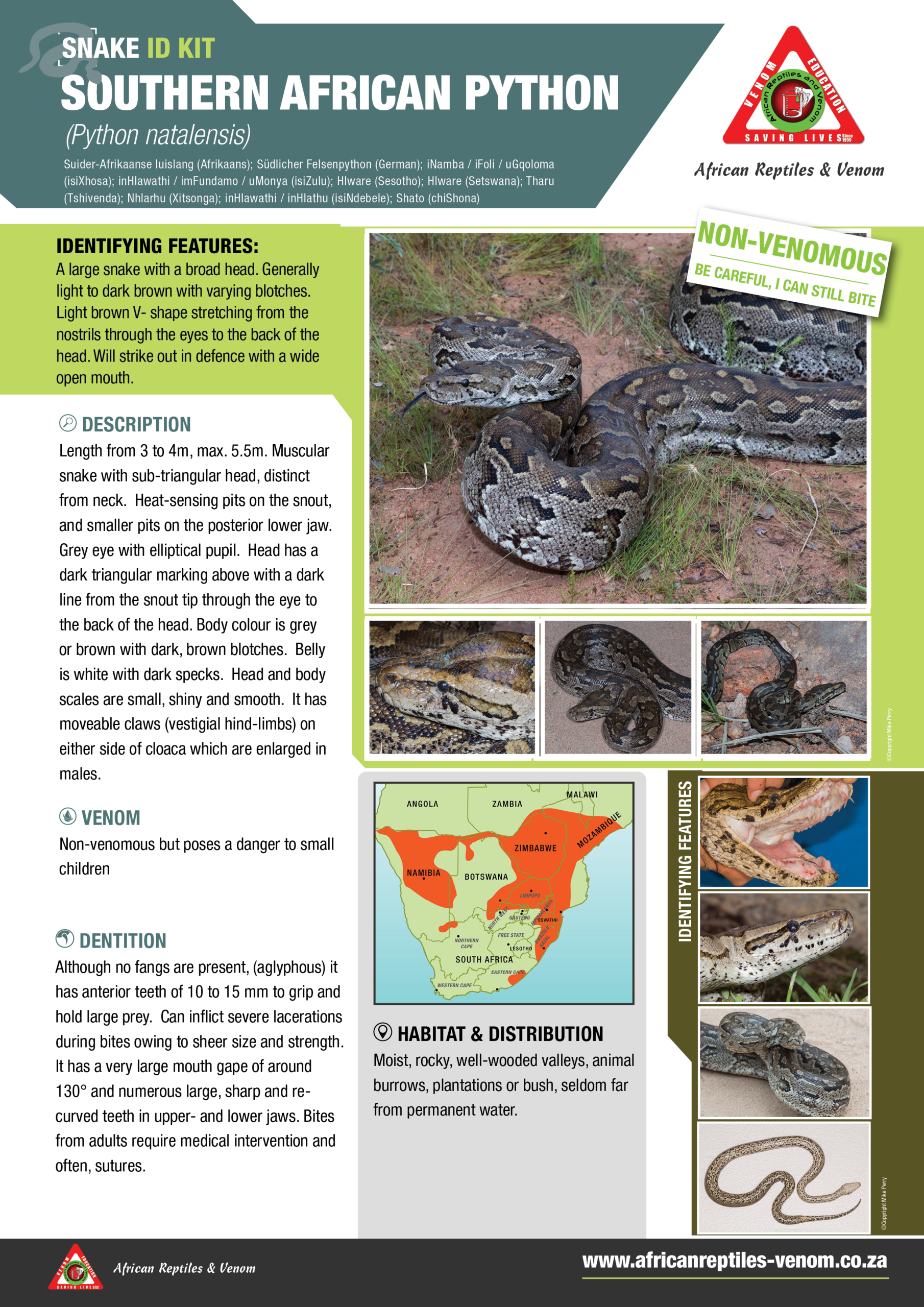 South African Python ARV IDKit