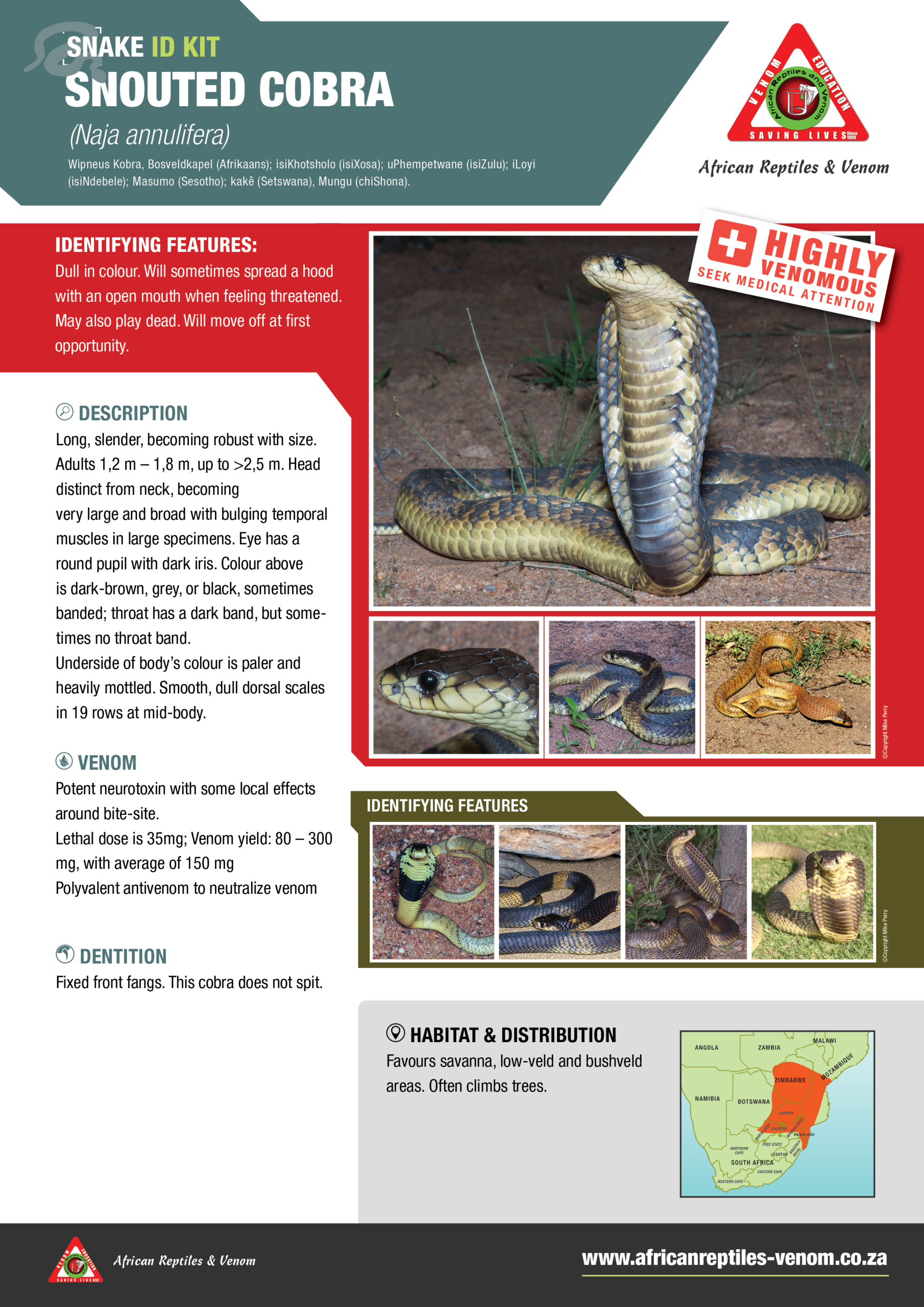 Snouted Cobra ARV IDKit