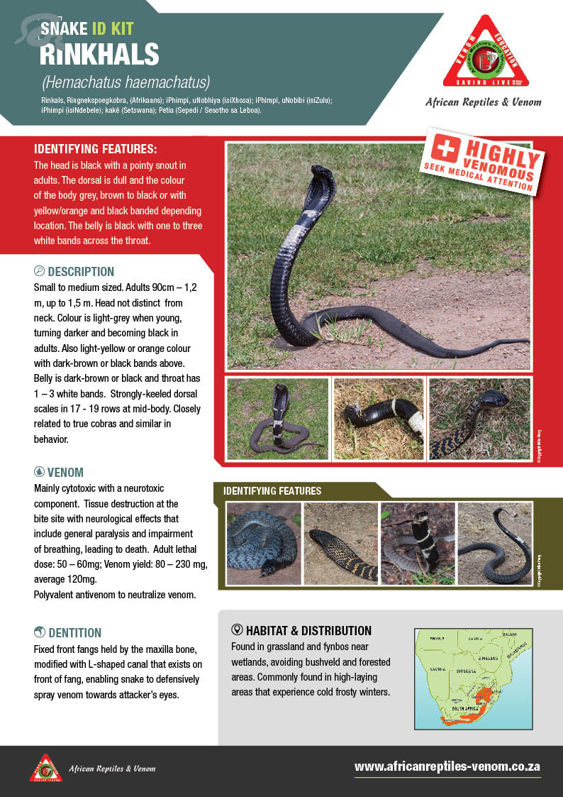 Rinkhals ARV IDKit