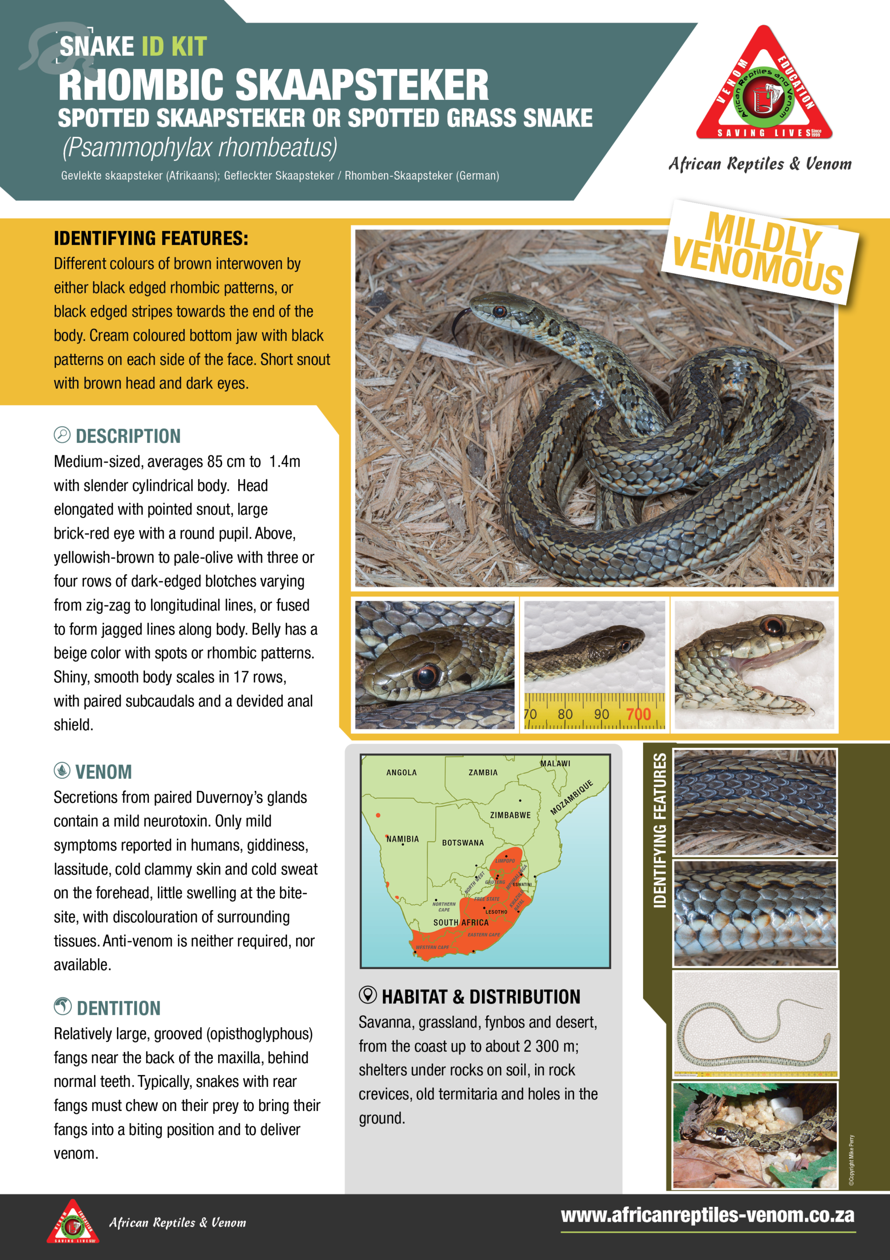 Rhombic Skaapstekker ARV IDKit