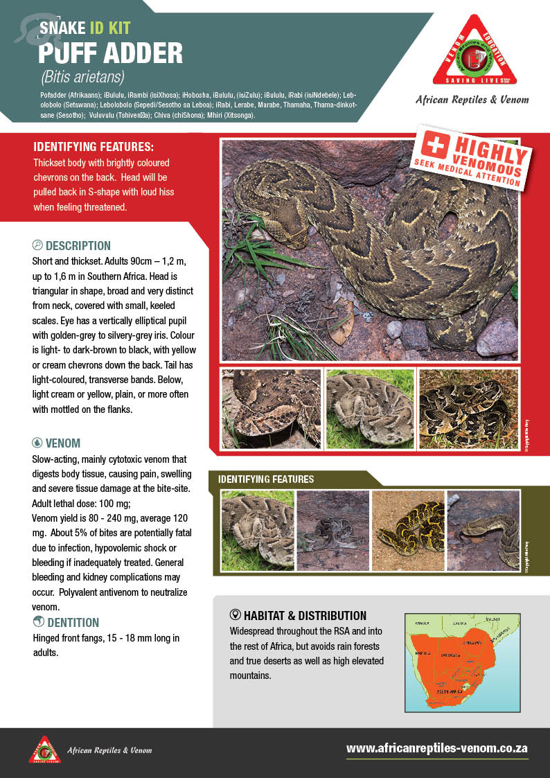 Puff Adder ARV IDKit