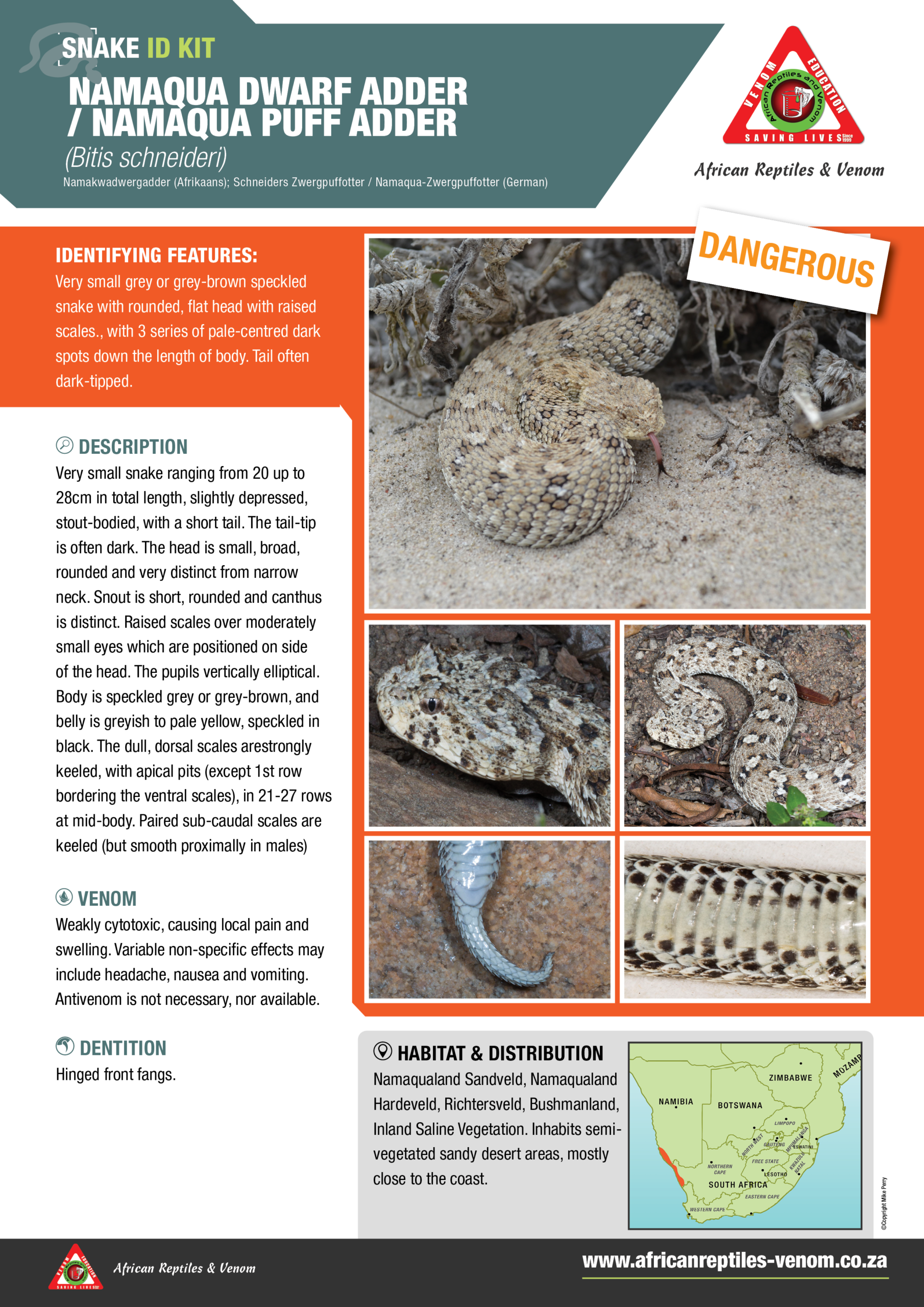 Namaqua Dwarf Adder ARV IDKit
