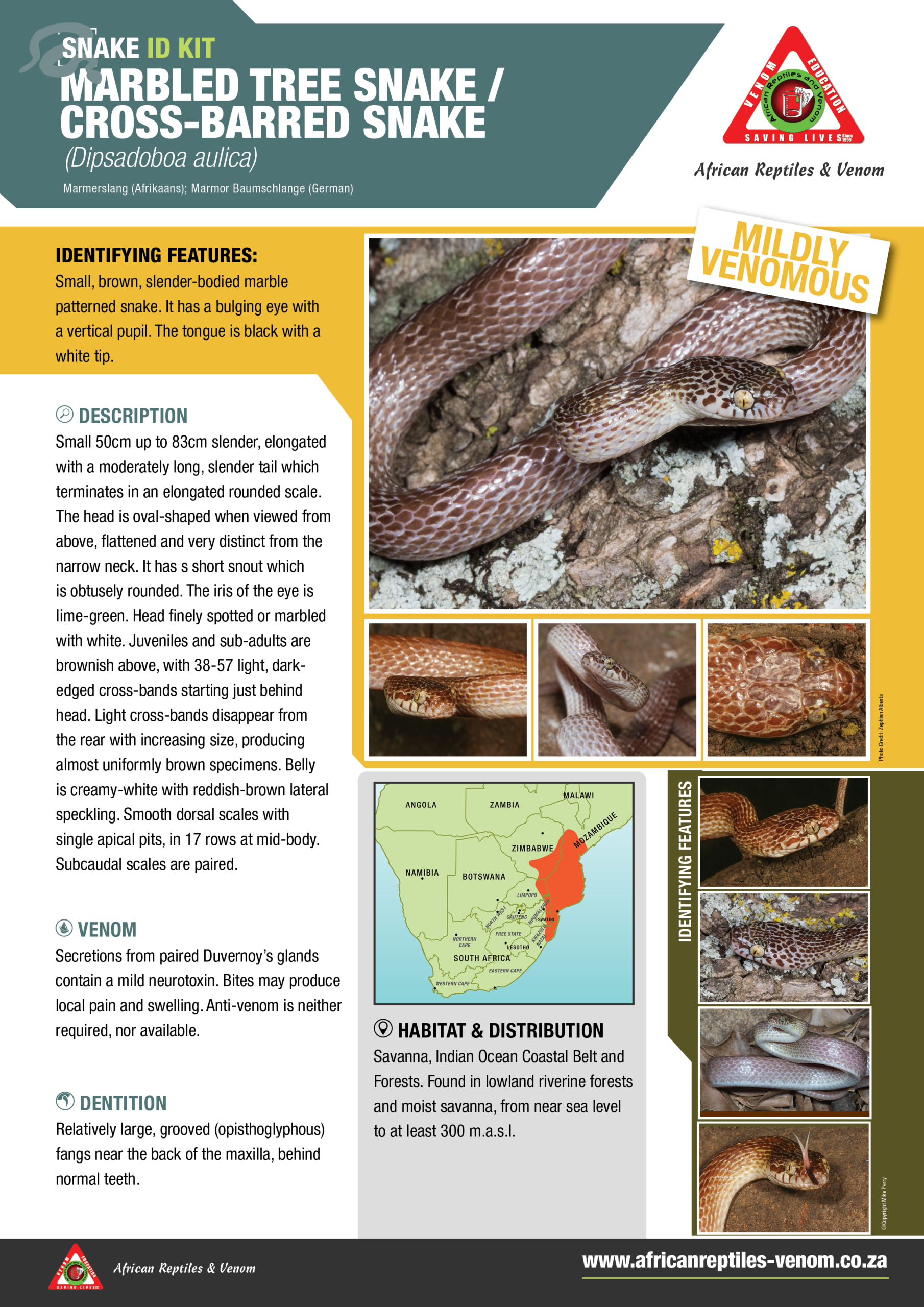 Marbled Tree Snake ARV IDKit