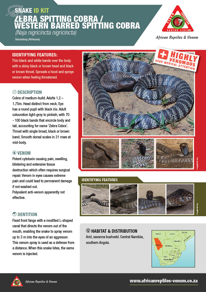 Zebra Spitting Cobra ARV IDKit