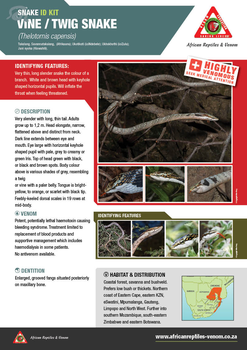 Vine Snake ARV IDKit