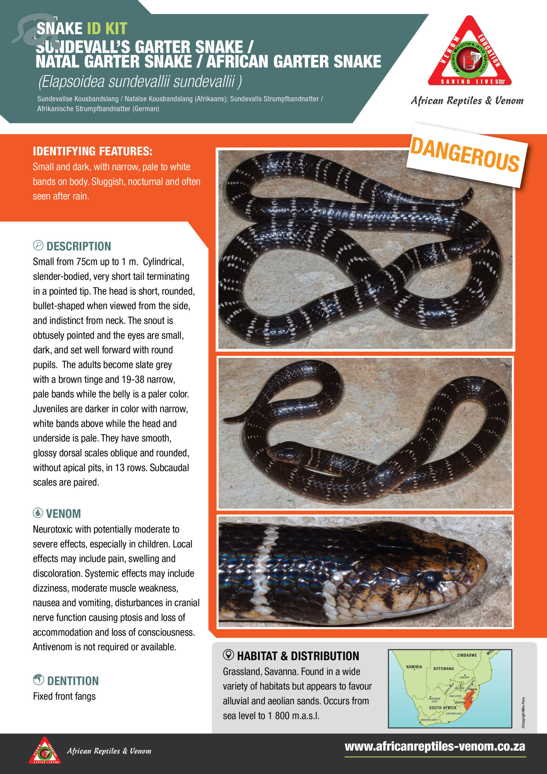 Sundevalls Garter ARV IDKit