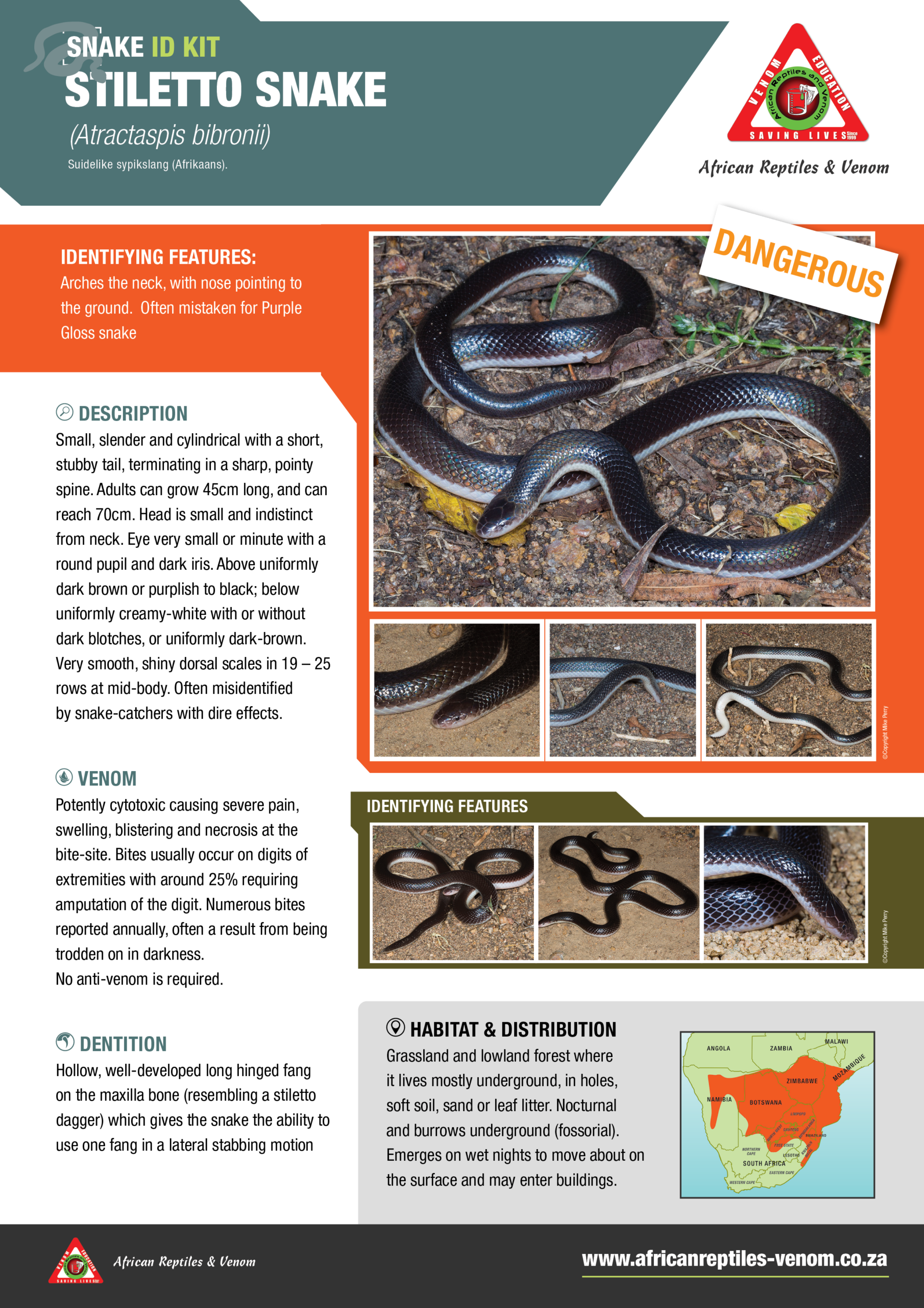 Stiletto Snake ARV IDKit