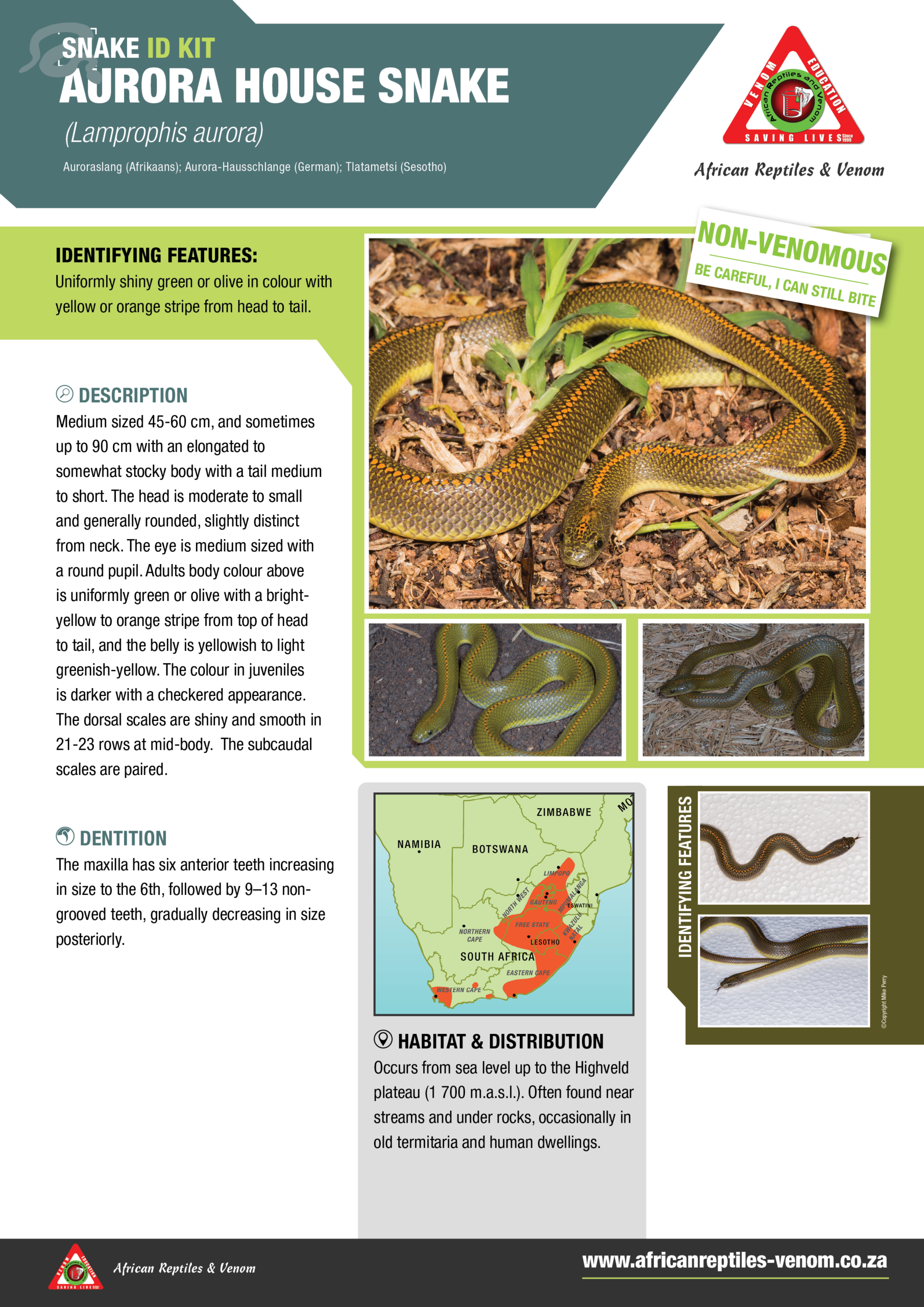 Aurora House snake ARV IDKit