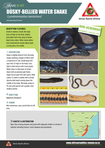 Dusky-Bellied Water Snake ID Card
