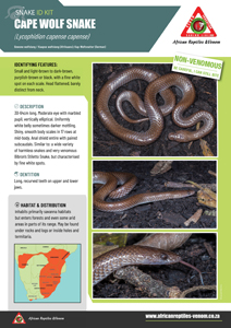 Cape Wolf Snake ID Card