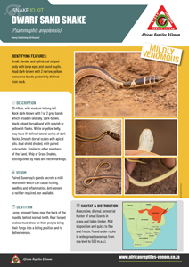 Dwarf Sand Snake ID Card