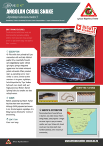 Angolan Coral Snake ID Card