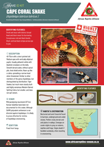 Cape Coral Snake ID Card