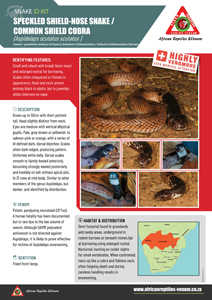 Speckled Shield-Nose Snake ID Card