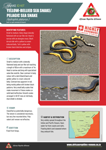 Yellow-Bellied Sea Snake ID Card