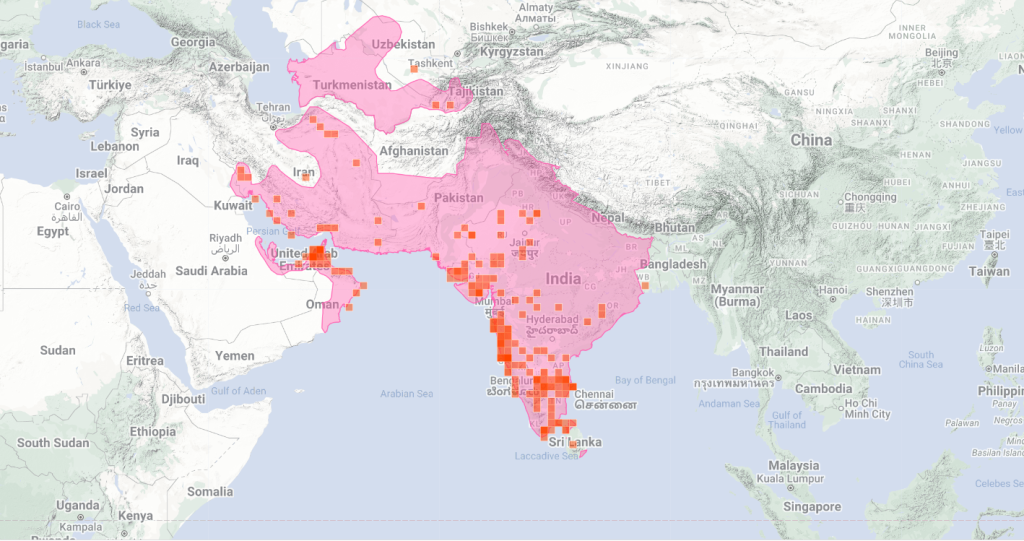 Echis carinatus distribution map
