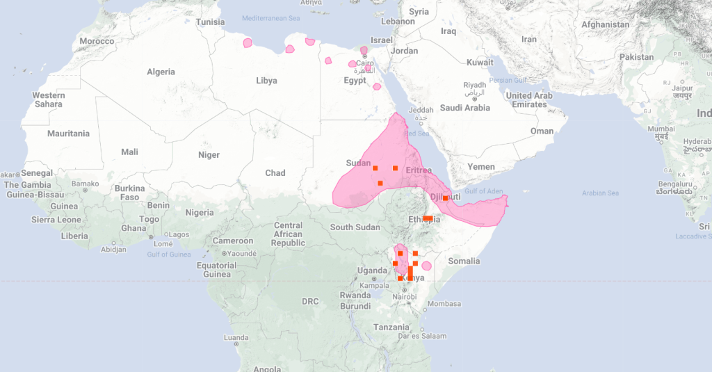 Echis pyramidum distribution map