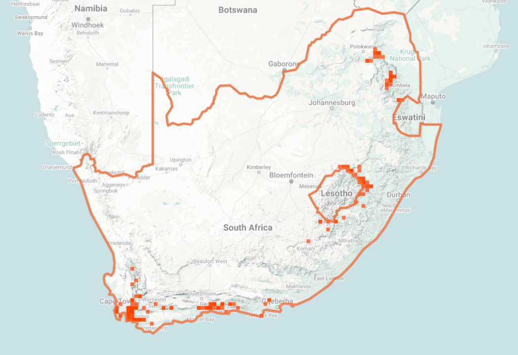 Berg Adder Map of iNaturalist Observations