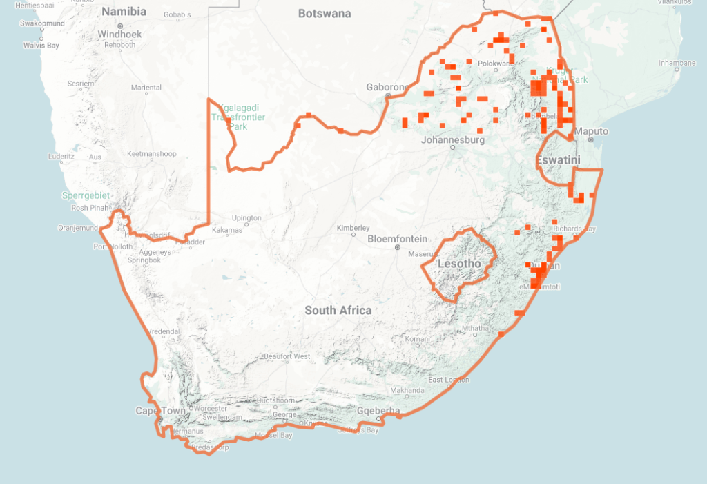 Black Mamba Map of iNaturalist Observations