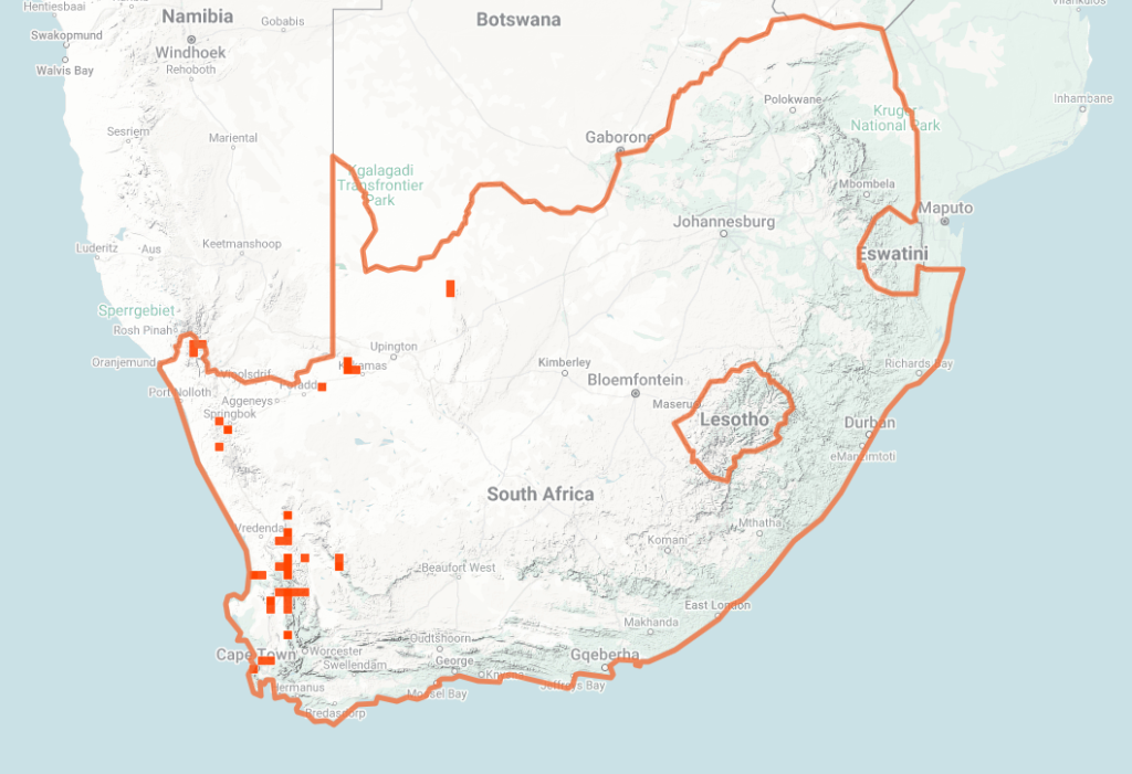 Black Spitting Cobra Map of iNaturalist Observations