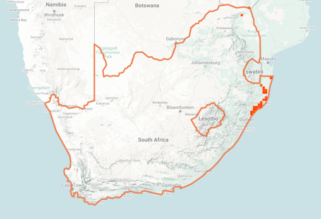 Brown Forest Cobra Map of iNaturalist Observations