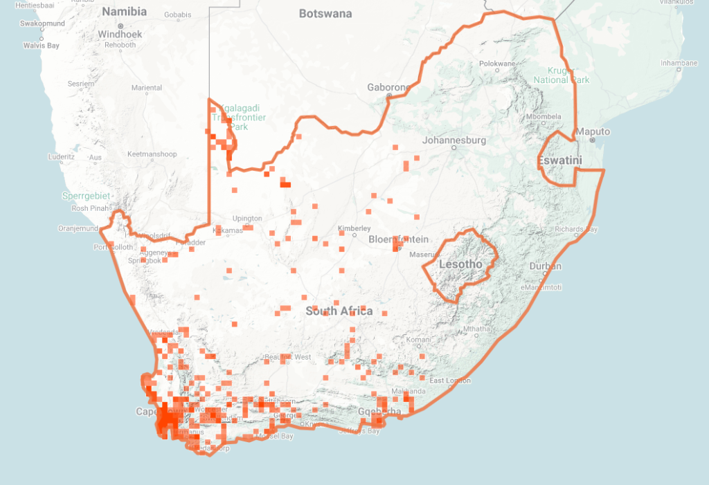 Cape Cobra Map of iNaturalist Observations