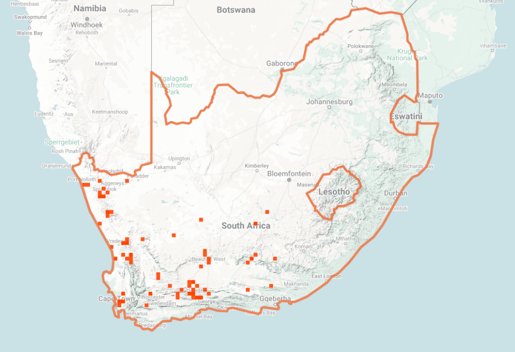 Cape Coral Snake Map of iNaturalist Observations