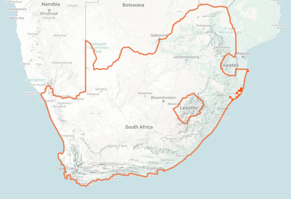 Gaboon Viper Map of iNaturalist Observations
