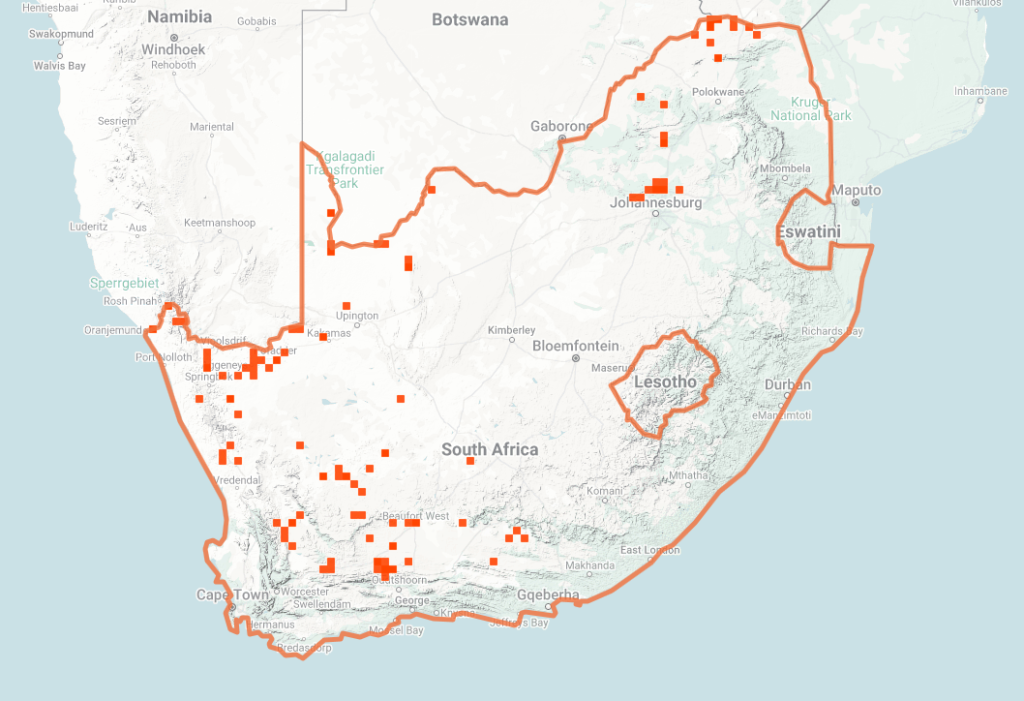 Horned Adder Map of iNaturalist Observations