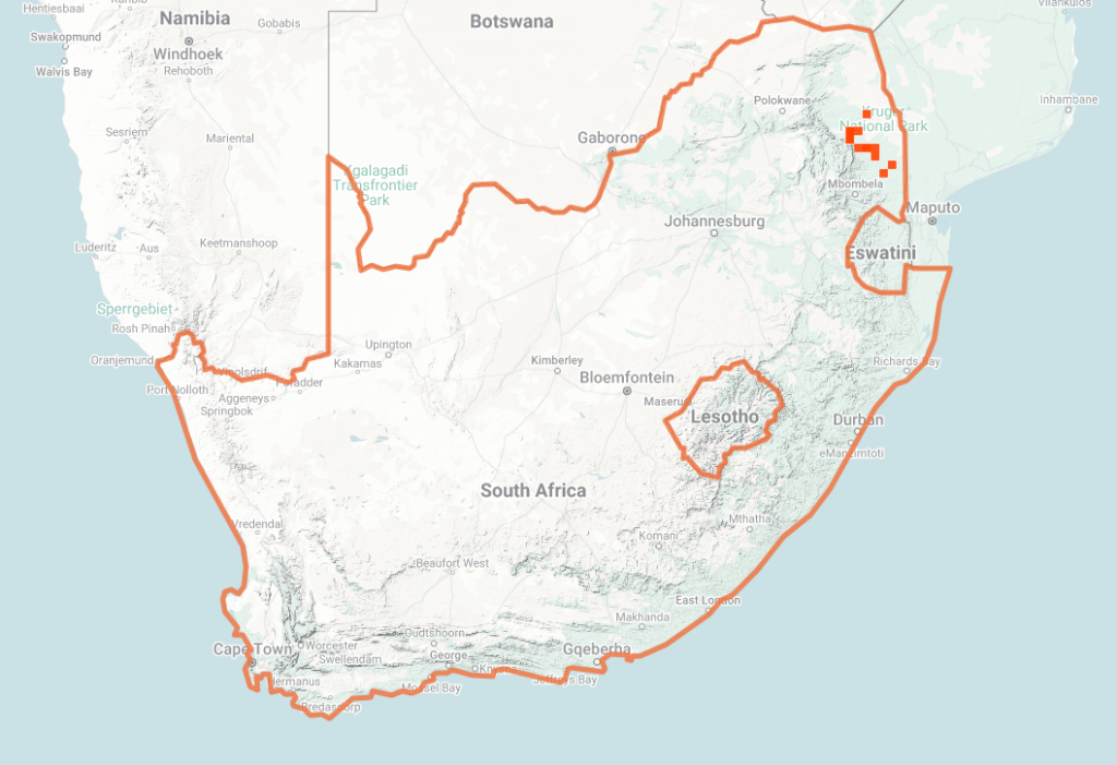 Intermediate Shield-nose Snake Map of iNaturalist Observations
