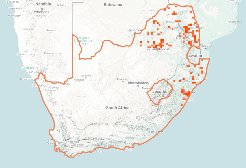 Mozambique Spitting Cobra Map of iNaturalist Observations