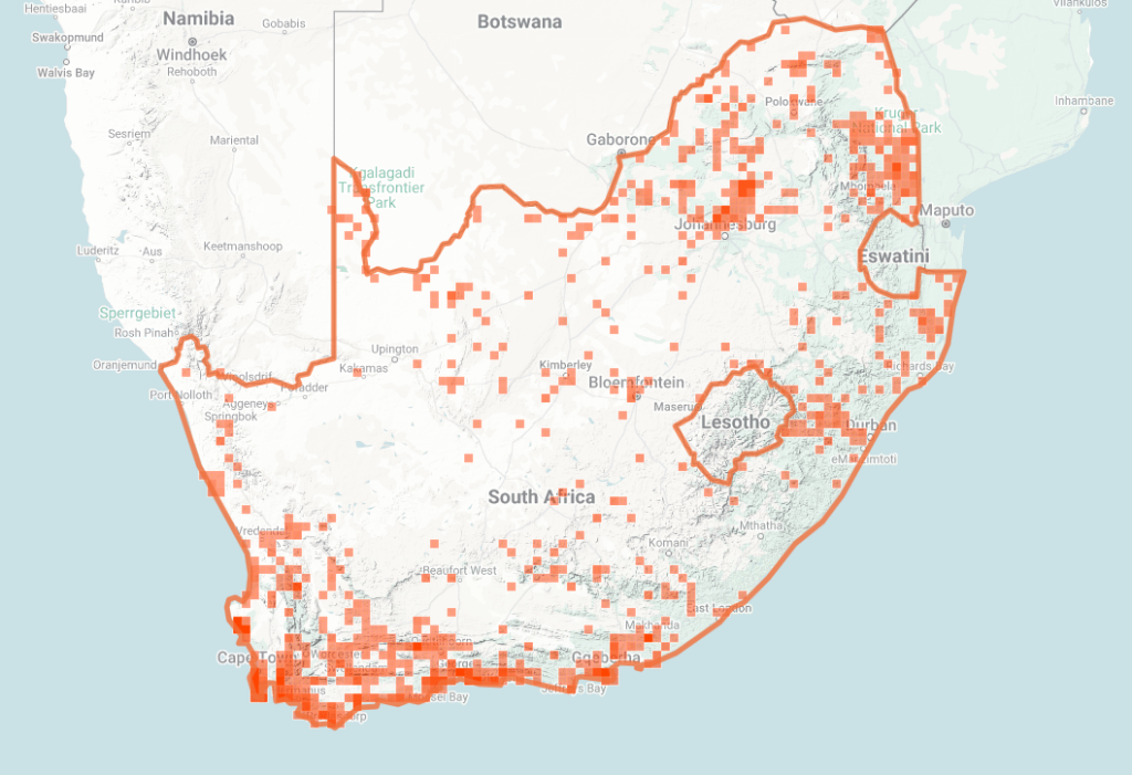 Puff Adder Map of iNaturalist Observations