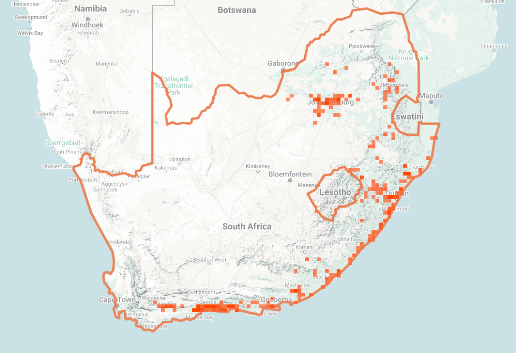 Rhombic Night Adder Map of iNaturalist Observations