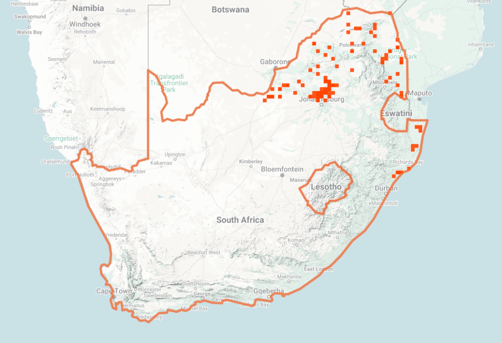 Snouted Cobra Map of iNaturalist Observations