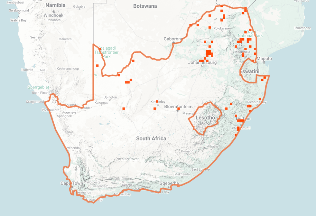 Southern Stiletto Snake Map of iNaturalist Observations