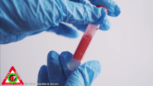 Snakebite Syndromic Management